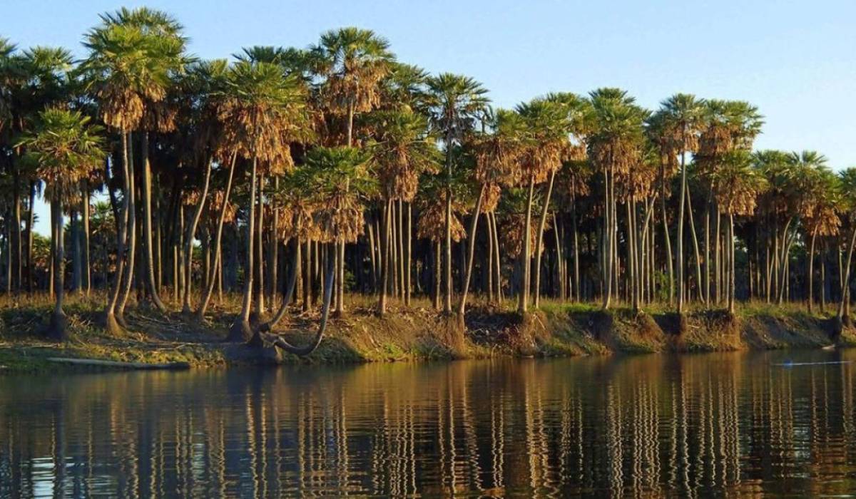 Descubrí los 2 Parques Nacionales más cercanos a Buenos Aires