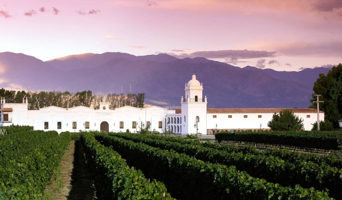 Valles, quebradas y bodegas en un viaje a Cafayate