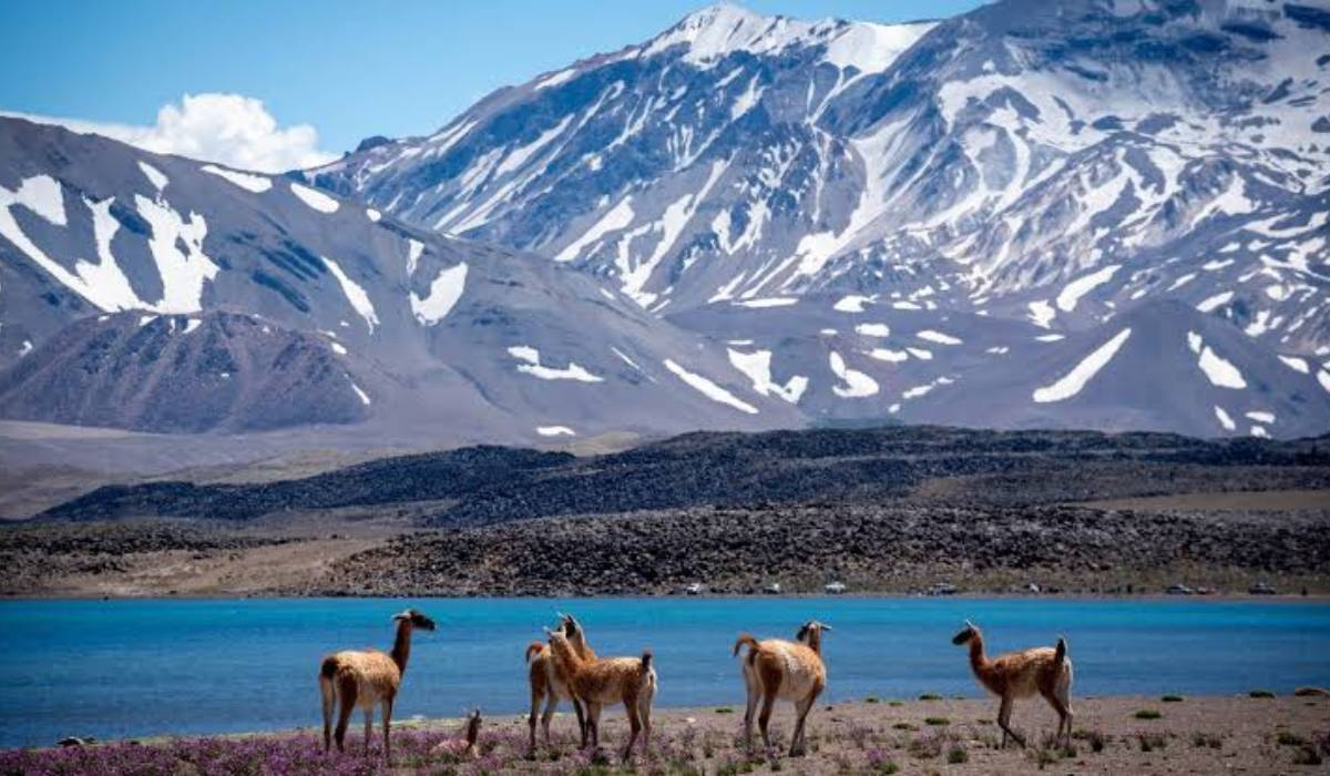 Llegá a las joyas ocultas en Mendoza y descubrí sus lugares menos conocidos.