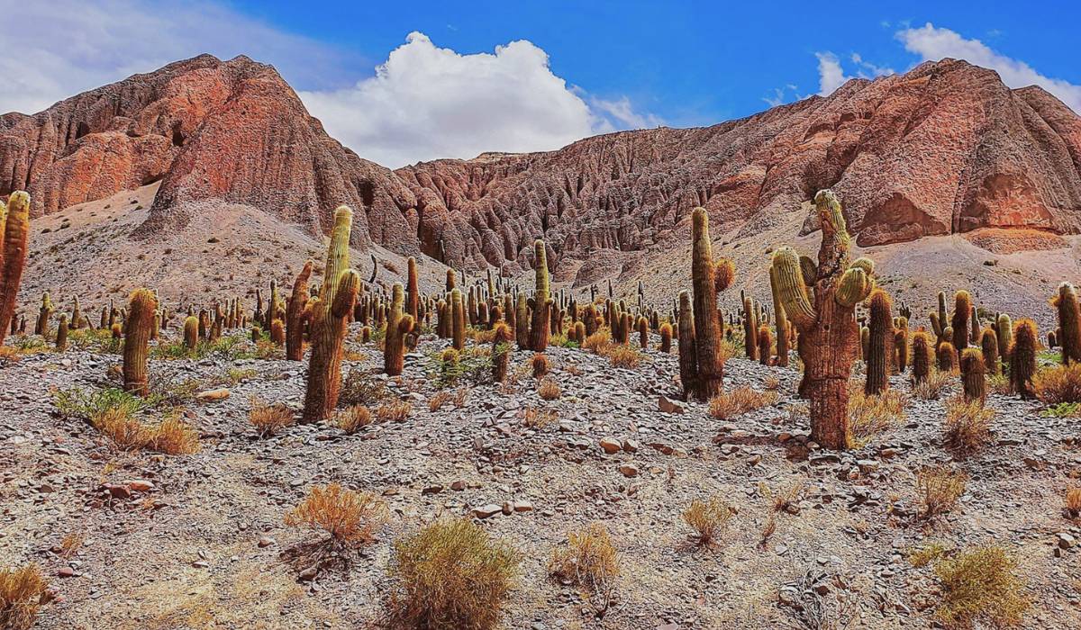 What to do in Purmamarca, a magical corner of the north