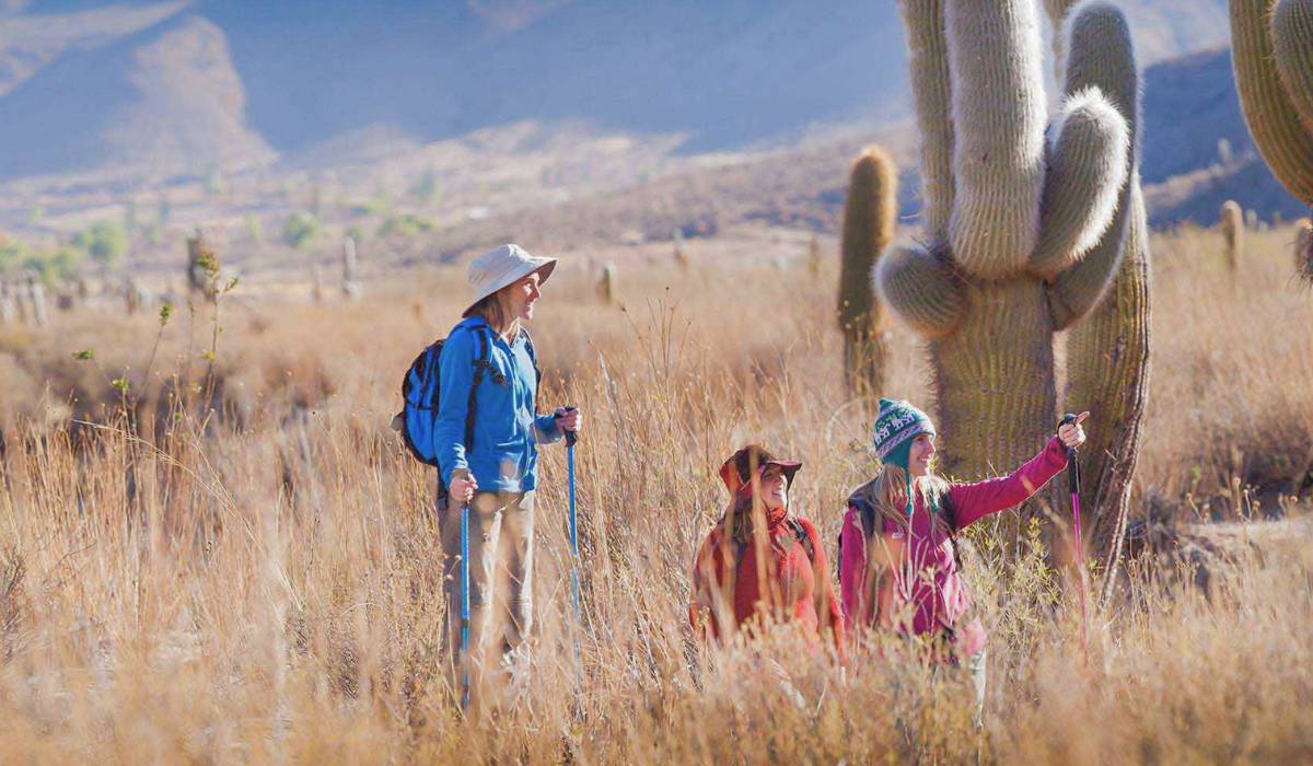 Salta en invierno: una guía imperdible para estas vacaciones