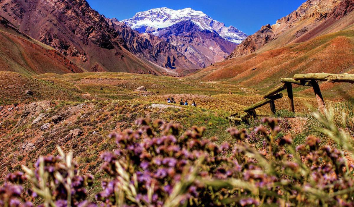 Mendoza in Spring: Activities and Must-See Places